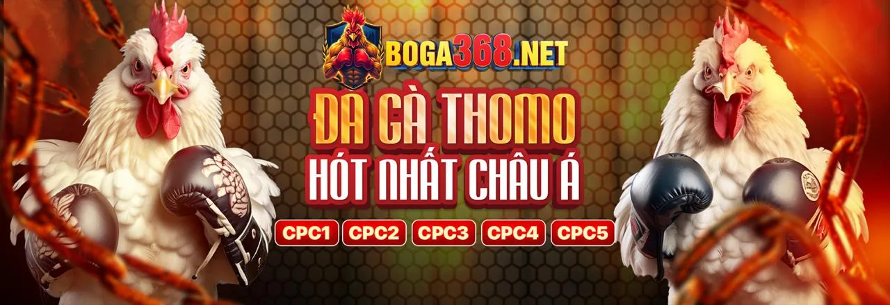 Đá gà kịch tính tại bg86 link vào